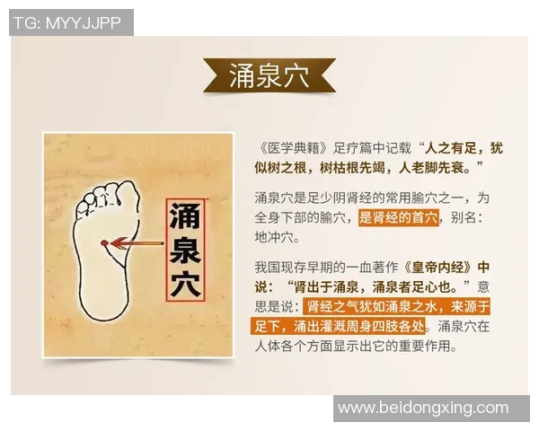 泰国足贴的正确使用方法与注意事项详解